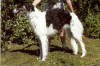 Bijou4_small.gif (54877 Byte)