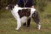 Lorenco4.gif (103271 Byte)