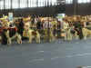 World Dog Show 2012 014 Mysh.JPG (167880 Byte)